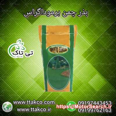 بذر چمن ، بذر چمن برموداگراس گرمسیری - 09197443453